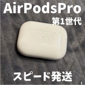 AirPods Pro 第1世代 本体