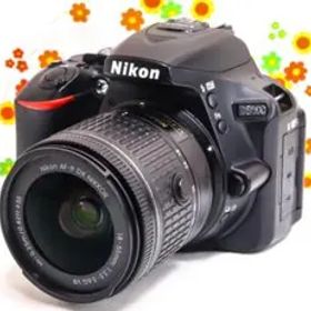 美品 ニコン Nikon D5600☆スマホに転送☆高性能一眼レフ☆自撮り可能！