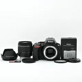 ＜良品＞ Nikon ニコン D5600 標準レンズキット AF-P 18-55 VR｜シャッター数4345枚｜ファインダー小ゴミ・レンズ内カビ有｜64GBカード付