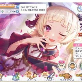 廃課金アカウント プリフェス・人権キャラほぼ所持・完凸済 ジュエル21万↑ | プリンセスコネクト(プリコネR)のアカウントデータ、RMTの販売・買取一覧