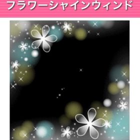 フラワーシャインウィンド | ガルショのアイテム、RMTの販売・買取一覧