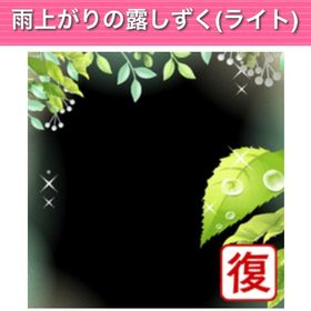 雨上がりの露しずく（ライト） | ガルショのアイテム、RMTの販売・買取一覧