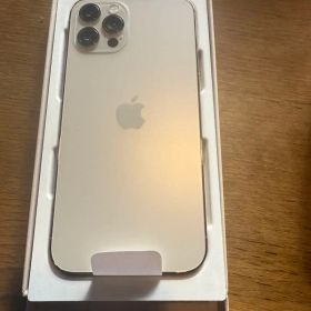 Apple iPhone 12 Pro ゴールド 本体 256G アップルケア済