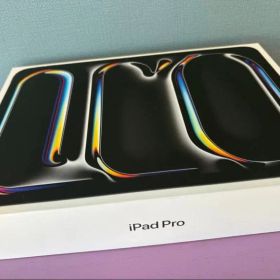 11インチiPad Pro(M4) 256GB Wi-Fiモデル ジャンク品