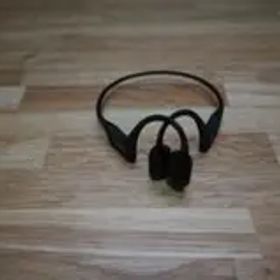 SHOKZ OpenRun Pro S810