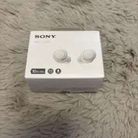 SONYワイヤレスイヤホン WF-C500