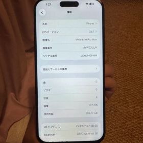 海外版 iPhone 16 Pro Max 256GB，バッテリーは93％