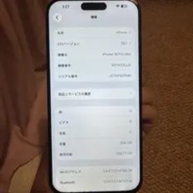 海外版 iPhone 16 Pro Max 256GB，バッテリーは93％