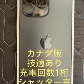 Apple iPhone 16 Pro Max Black 256GB CA版