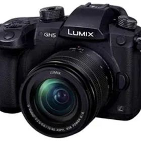 パナソニック(Panasonic) ミラーレス一眼カメラ ルミックス GH5 レンズキット 標準ズームレンズ付属 ブラック DC-GH5M-K