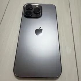 Apple iPhone 13 Pro グラファイト 本体 充電ケーブル付き