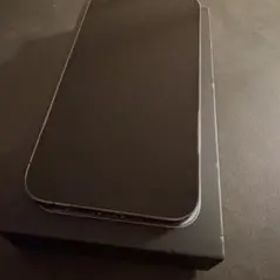 Apple iPhone 13 Pro 本体 256GB