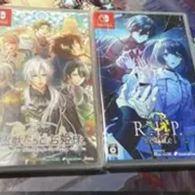 猛獣たちとお姫様 9 R.I.P. sequel スイッチ Switch 2本