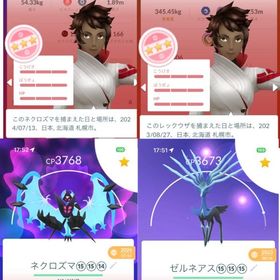 値下げ可能 やや強めTL56引退垢 | ポケモンGOのアカウントデータ、RMTの販売・買取一覧
