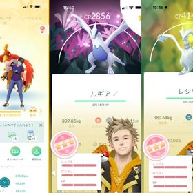 TL73✨スペシャル背景ルギア100％✨伝説169体✨色違い35体✨個体値100％：16体 | ポケモンGOのアカウントデータ、RMTの販売・買取一覧