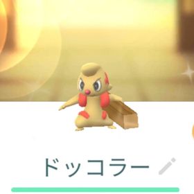 色違いドッコラー トレード XL XXL | ポケモンGOのアカウントデータ、RMTの販売・買取一覧