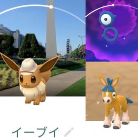 8379【PTC】シティサファリ ブエノスアイレスアカウント 色違い37匹 他 | ポケモンGOのアカウントデータ、RMTの販売・買取一覧