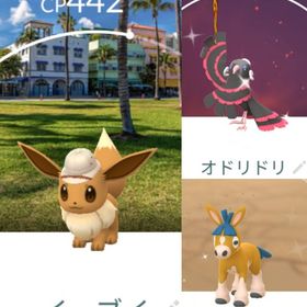 9605【PTC】シティサファリ マイアミ アカウント 色違い72匹 他 | ポケモンGOのアカウントデータ、RMTの販売・買取一覧