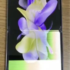 Galaxy Z Flip 4 5G SM-F721C 128 GB