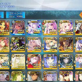 星5:93種178体 宝具5:狂モルガン・アルクェイドなど | FGOのアカウントデータ、RMTの販売・買取一覧