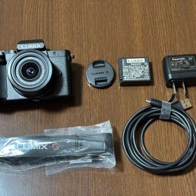 パナソニック LUMIX DC-G100K レンズキット 動作確認済 やや傷あり