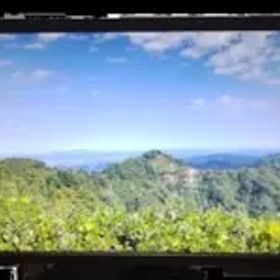 ジャンク Benq XL2411P 不具合あり