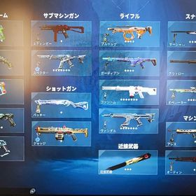 ヴァロラントアカウント Champion2022所持