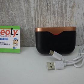 SONY ソニー イヤフォン BC-WF1000XM3 充電コードのみ ワイヤレスイヤホン ノイズキャンセリング 中古品