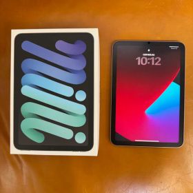 【美品】iPad mini A17Pro 128GB スペースクレー