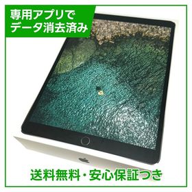 【バッテリー82%】iPadPro 10.5インチ セルラー 256GB スペースグレイ ドコモ版