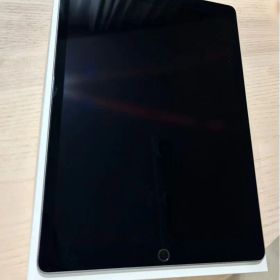 iPad pro 第二世代12.9インチ64GB