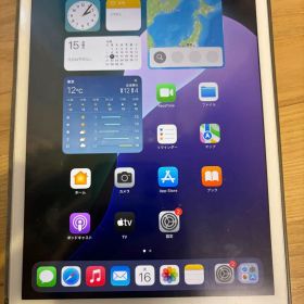iPad mini 第5世代 Wi-Fi 256GB SIMフリー（箱あり）
