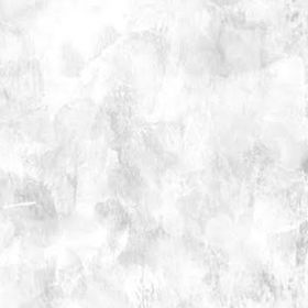 れれ様専用 | ポケコロツイン(ポケツイ)のアカウントデータ、RMTの販売・買取一覧