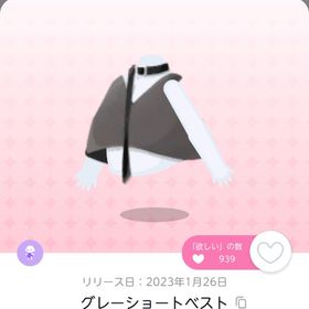 グレーショートベスト | ポケコロツイン(ポケツイ)のアカウントデータ、RMTの販売・買取一覧