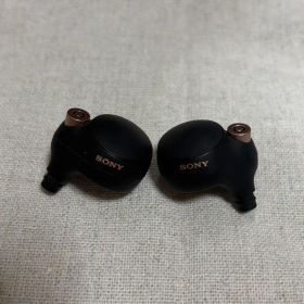 WF-1000XM4 LRイヤホン のみ