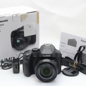D (ジャンク) Panasonic パナソニック DC-FZ85D 返品不可 10-17