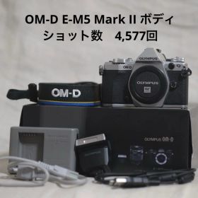 OLYMPUS OM-D e-m5 mark ii シルバーショット数4577回