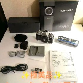 極美品★シャッター数119回！OLYMPUS OM-D E-M5 Mark II