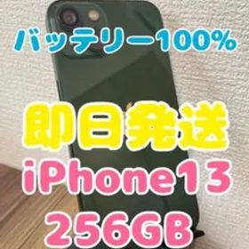 iPhone 13のメイン画像