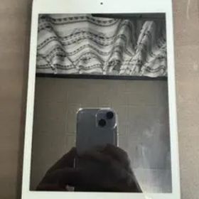 iPad mini4 64GB セルラーモデル（docomo） 初期化済