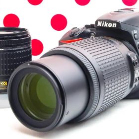 美品 ニコン Nikon D5500❤Wi-Fi転送機能付❤超高画質＆高性能