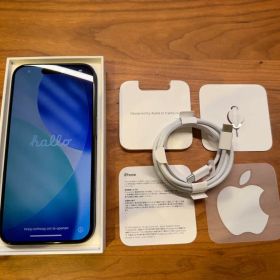 超美品！iPhone15 ProブラックチタニウムSIMフリーアップルストア購入