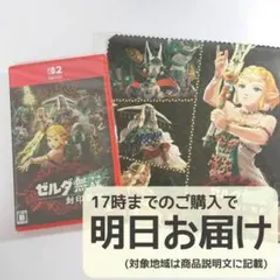 Switch2 ゼルダ無双 封印戦記