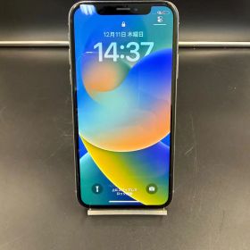 iPhone X 256GB
