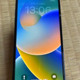 Apple iPhone X シルバー 本体