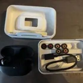 SONY ソニー WF-1000XM5 イヤホン イヤフォン 箱無し 200円引