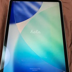 Apple iPad Pro 11インチ 2018 Wi-Fiモデル 256GB