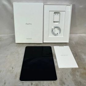 Apple アップル iPad Pro 11インチ Wi-Fi 第2世代 128GB A2228 カラー：シルバー 簡易動作確認済み