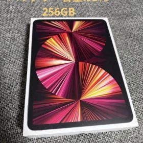 美品Apple iPad Pro 11インチ (M1) 256GBスペースグレー