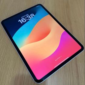 iPad Pro 11in M4 256 WiFi bat100% アップル購入